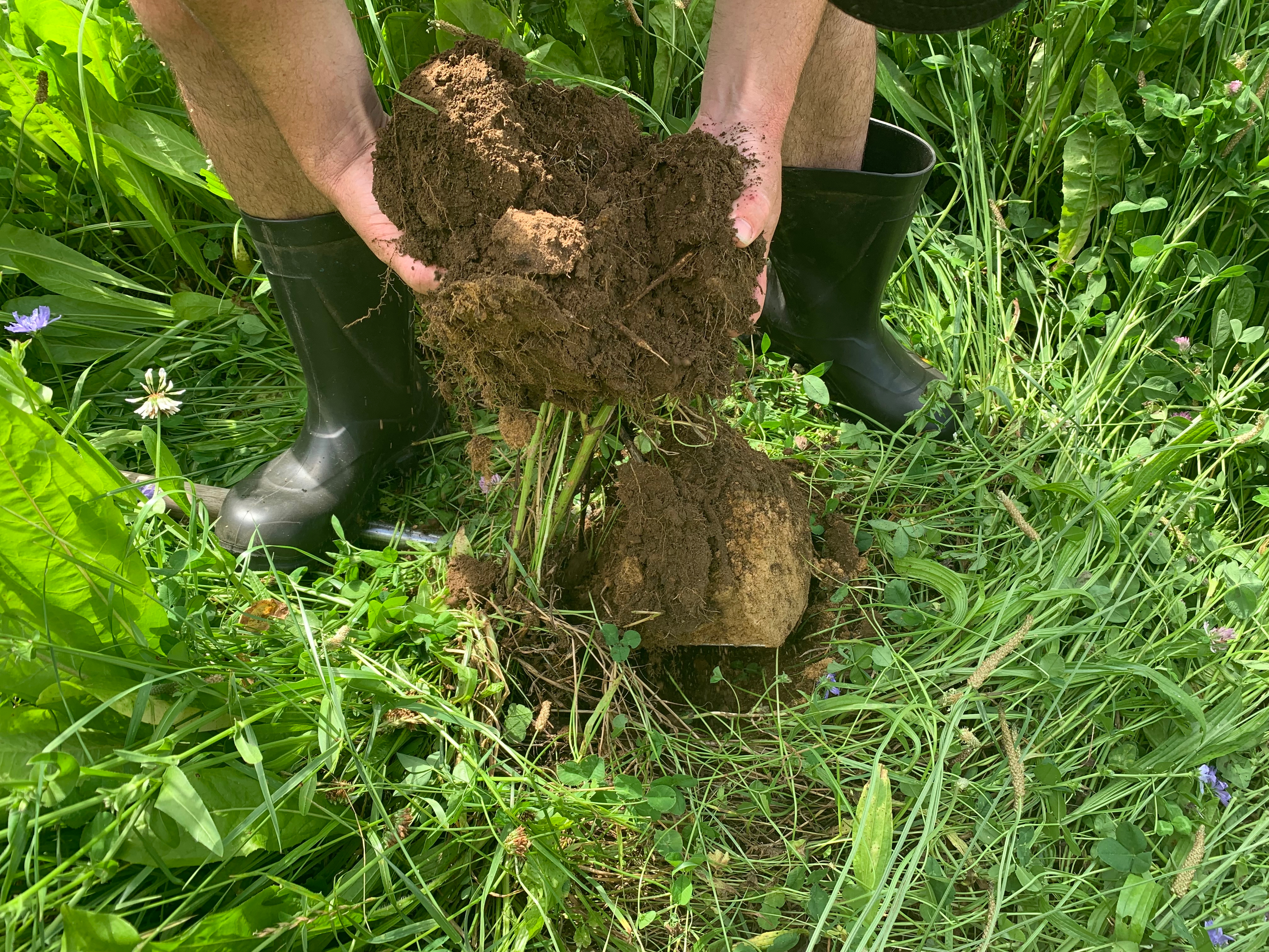 Why is microBIOMETER® the best test for soil health?