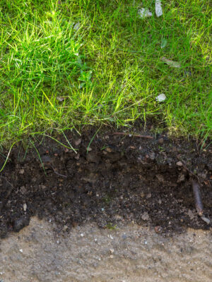garden soil layers under meadow