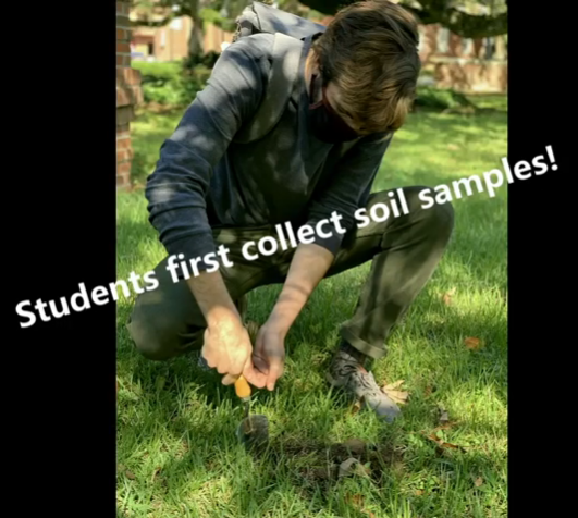 soil testing 